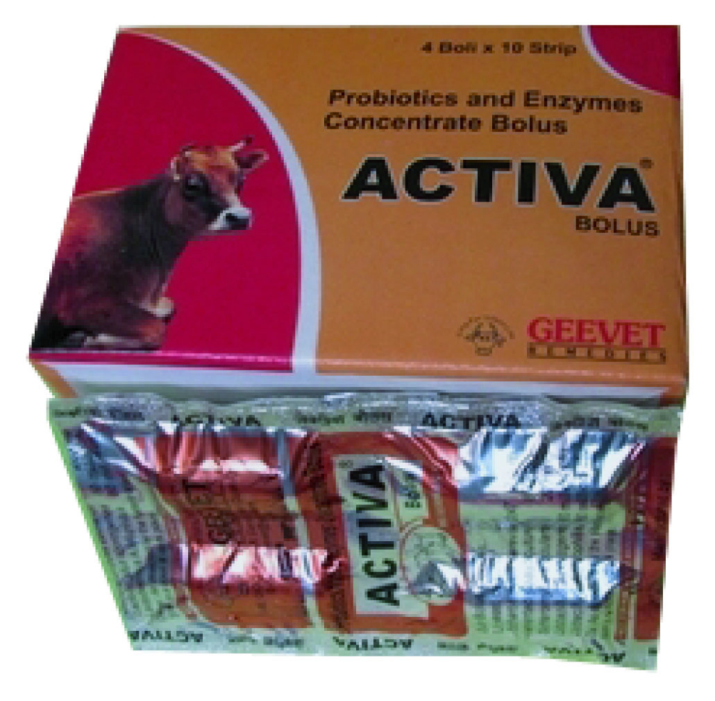 Activa Bolus