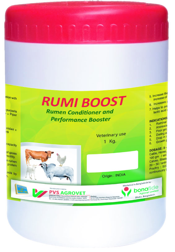 Rumi Boost