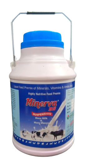 Minerva da